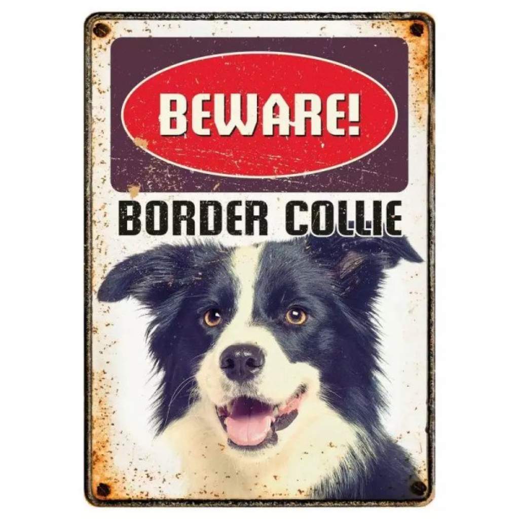Metallschild "Border Collie"